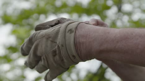 Nahaufnahme-Der-Hand-Gartenhandschuh-Anziehen