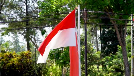 Bandera-De-Indonesia-Ondeando-En-El-Viento-En-Cámara-Lenta-Con-Un-Exuberante-Fondo-Verde
