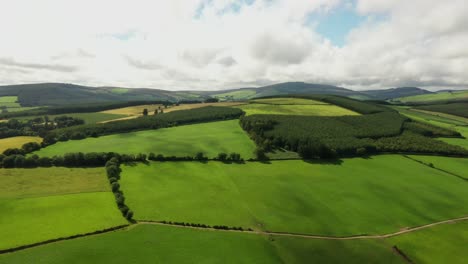 Irish-rural-landscape,-Aughrim,-Wicklow-August-2020,-Drone-tracks-parralel-to-farmland-and-woodland-facing-West-towards-at-Ballymanus-hills