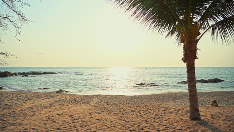 Palmensilhouette-Bei-Sonnenuntergang-Auf-Der-Strandinsel-Am-Meer