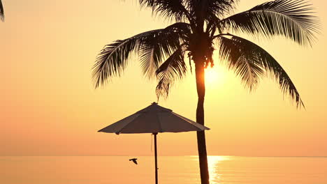 Beach-Parasol-under-the-Palm-tree-during-orange-color-sunset-over-the-sea,-bird-frying