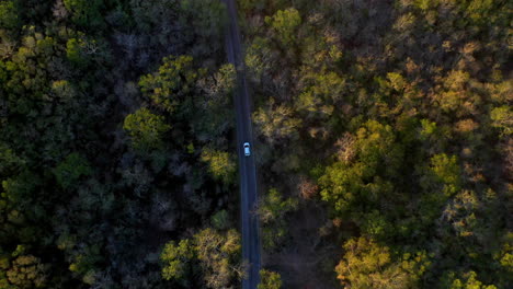 Cinematic-downward-angle-drone-shot-of-a-white-car-driving-through-dense-forest-near-Merida-Mexico