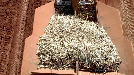 Tractor-Automatizado-Plantando-Caña-De-Azúcar-En-Brasil