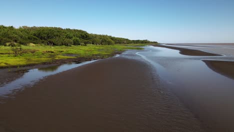 Aerial-pull-out-shot-capturing-the-pristine-El-Destino-natural-reserve-sandy-riverbank-and-coastal-wetland-in-Rio-de-la-Plata-in-Magdalena,-Buenos-Aires