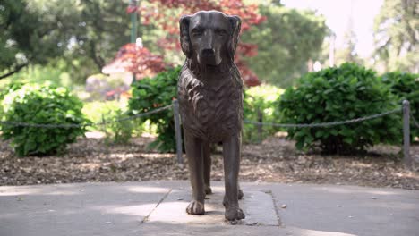 Front-view-of-a-dog-statue-at-the-central-park