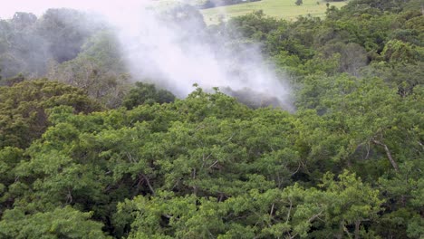 Aerial-4k-drone-footage-of-smoke-bellowing-through-treetops-of-a-forest