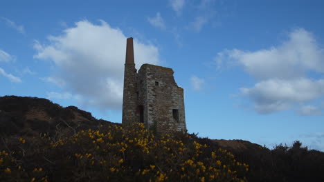 Ruin-Of-Cornish-Tin-Mine-On-Top-Of-A-Valley-With-Yellow-Flowers-On-Slope