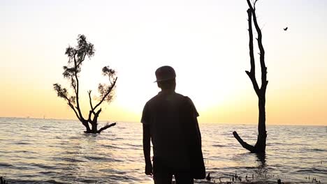 Traveler-enjoying-sea-view-with-tree-in-the-middle-of-the-water-during-sunset,-handheld-shot