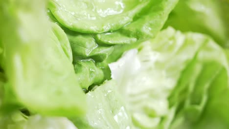 Macro-shot-of-a-fresh-lettuce-and-water-dripping