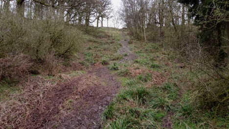 A-muddy-footpath-running-through-winter-woodland-in-Warwickshire,-England
