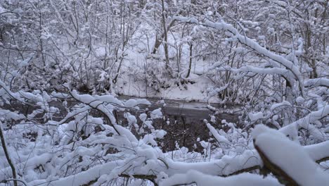 Kleiner-Fluss-Im-Winter