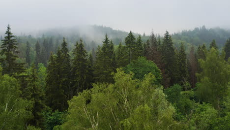 Humid-and-foggy-forest-mountain-range-in-morning,-aerial-drone-shot