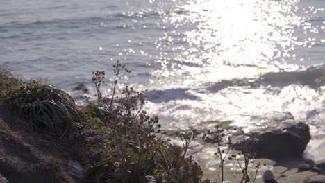 View-of-cliffside-plants-with-ocean-in-background-and-background-blur-people