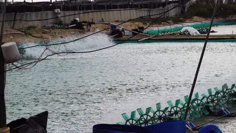 Shrimp-farm-with-spinning-water-turbines.-Static-shot