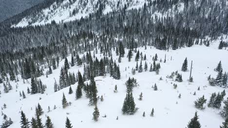 Drohne-Fliegt-über-Dichte-Baumwipfel-Auf-Schneebedeckten-Bergen-Im-Winterpark-In-Den-Colorado-Rockies