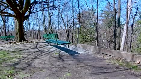 No-people-sit-on-a-bench-with-a-view-of-the-forest,-on-a-warm-sunny-day,-zoom-in