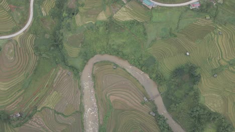 drone-shot-directly-above-road,-river-and-rice-paddies