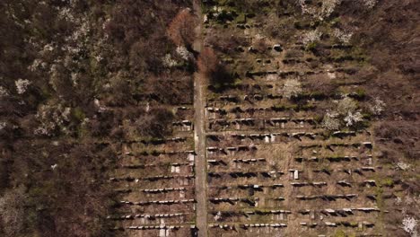 Top-View-Of-Abandoned-Cemetery