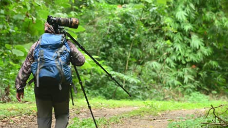 Woman-with-a-Deuter-backpack-walking-on-a-road-leading-into-the-forest-of-Kaeng-Krachan-National-Park-in-Thailand-,-also-carrying-on-her-shoulder-a-Fotopro-tripod,-Fujifilm-XT1-camera