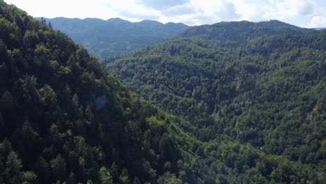 AERIAL-Side-Panning-Shot-of-a-Beautiful-Lush-Green-Alpine-Mountainous-Scenery