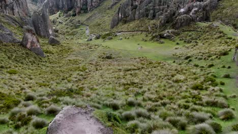 Grünes-Feld,-Umgeben-Von-Schroffen-Felsformationen-In-Cumbemayo-Bei-Cajamarca,-Peru