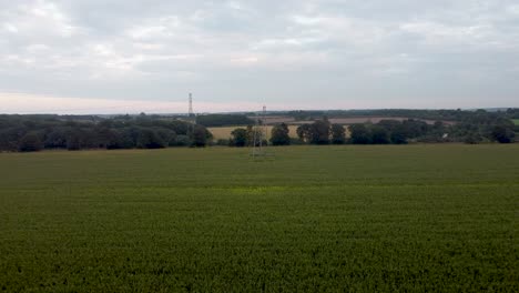 Electricity-Pylons-In-South-Canterbury-Fields