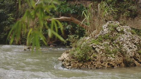Agua-Que-Fluye-Alrededor-De-Una-Gran-Roca-En-El-Bosque-En-Rio-Tanama,-Puerto-Rico---Tiro-Ancho