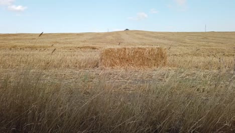 Alone-Square-Straw-Bale-in-the-Field