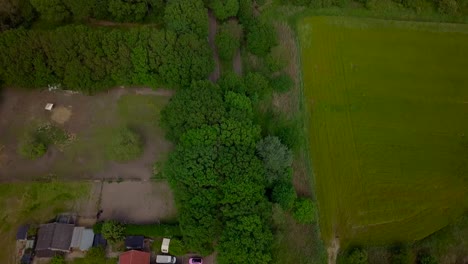 Vista-Aérea-De-Drones-De-La-Hermosa-Carretera-Verde-En-El-Campo-De-Los-Países-Bajos