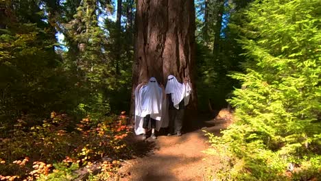 Two-people-dance-dressed-as-ghosts-in-an-Oregon-Forest