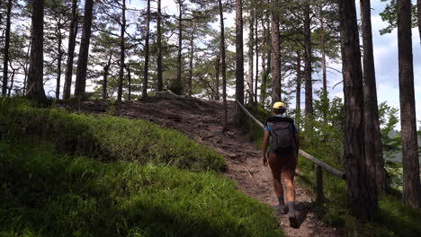 Excursionista-Masculino-Caminando-Por-El-Bosque-Con-Hierba-Verde-Y-árboles-Altos
