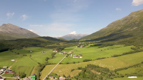 Schöne-Grüne-Felder-Und-Perfekte-Berghänge-In-Einem-Bergdorf-Im-Geirangerfjord