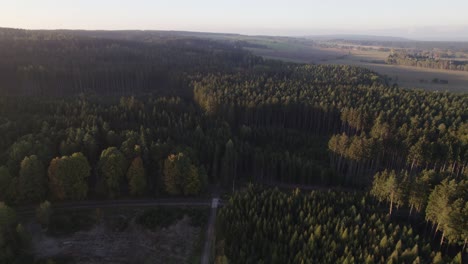 Langsamer-Flug-über-Den-Weg-Zwischen-Den-Wäldern-Bei-Sonnenuntergang-Im-Herbst