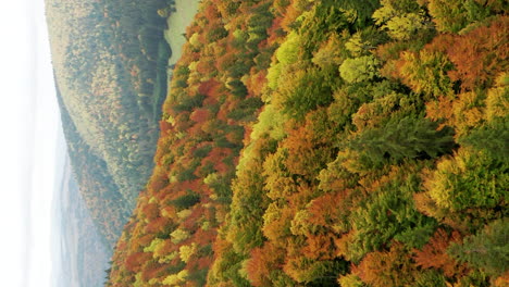 Aerial-view-of-Romanian-Mountains-with-Dense-Mixed-Forest-in-Autumn,-vertical