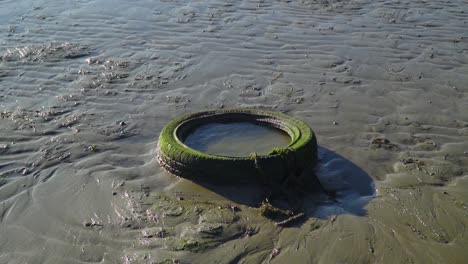 Car-tyre-dumped-rubbish-waste-on-the-beach-with-moss-around-it-slow-motion