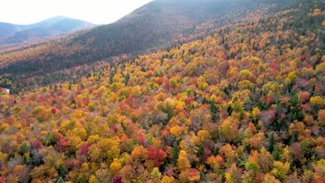 Herbstfarben-Im-Wald-Und-In-Den-Bergen-Von-New-England---Luftbild