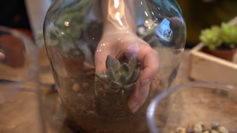 Creating-glass-terrarium-with-succulent-plants-by-hand-in-Marseille-France,-Close-up-shot