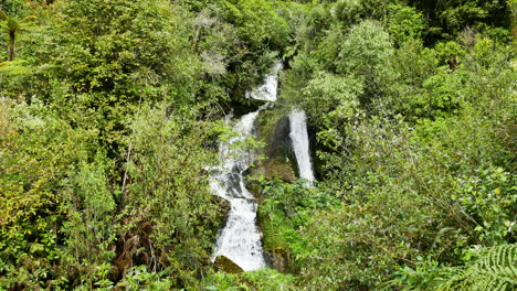 Tilt-down-shot-of-beautiful-tranquil-water-flowing-downhill-green-forest-mountain-in-New-Zealand