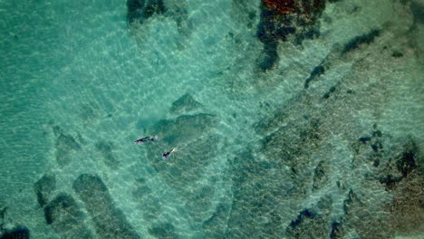 Spinning-Overhead-Aerial-Descending-On-Couple-Snorkelling-In-Goat-Island-Marine-Reserve-Crystal-Clear-Water-In-New-Zealand