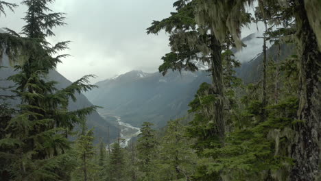 Volando-Entre-árboles-De-Coníferas-En-El-Bosque-De-Montaña-Con-Vistas-Al-Valle-En-Columbia-Británica,-Canadá