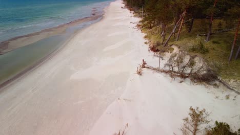Aerial-view-of-Baltic-sea-coast-on-a-sunny-day,-steep-seashore-dunes-damaged-by-waves,-broken-pine-trees,-coastal-erosion,-climate-changes,-wide-angle-drone-shot-moving-backwards-over-the-white-sand