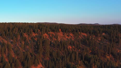 amazing-drone-flight-revealing-immense-coniferous-forest-and-cottages-in-Utah-suburbs