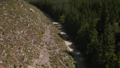 Aerial-Dolly-In-Einem-Jeep,-Der-Auf-Einem-Staubigen-Hügel-Fährt,-Umgeben-Von-Dichten-Grünen-Pinienwäldern-Und-Grünen-Bergen,-British-Columbia,-Kanada