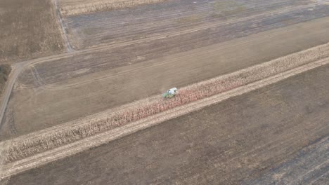 Combine-Harvester-Working-On-The-Corn-Field-During-Summer---aerial-drone-shot