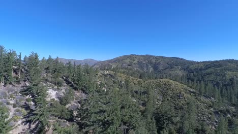 Drohnenaufnahmen-Eines-Waldes-In-Der-Nähe-Des-Chileo-Campingplatzes-In-Südkalifornien
