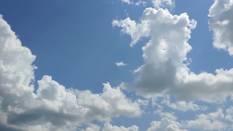Large-cumulus-clouds-gather,-boiling-and-rolling-across-a-light-blue-sky,-timelapse