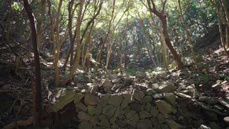 Ruinen-Der-Steinmauer-Auf-Der-Insel-Tomogashima,-Wakayama,-Japan