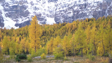 Larch-Valley,-Sentinel-Pass-Hiking-Area,-Banff-National-Park-Canada