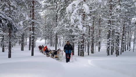 People-On-A-Reindeer-Sleigh-Ride-Through-Snowy-Forest
