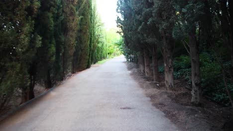 POV-Walking-Along-Empty-Path-At-Tbilisi-National-Park-Lined-By-Tall-Trees